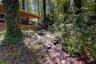 Bradley Bear Hideaway - Maggie Valley - 8