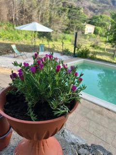 seaside suite in paradise - 8