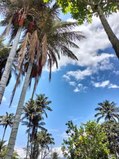 La Cabaña Eco Hotel - 2