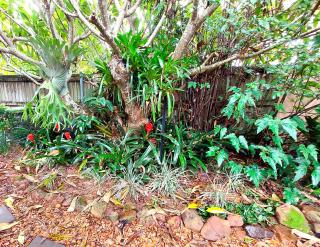 Front Apartment at the Cottage- 2 bedrooms - Geneva in Kyogle - 3