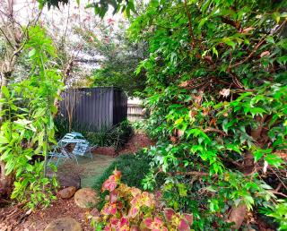 Front Apartment at the Cottage- 2 bedrooms - Geneva in Kyogle - 2