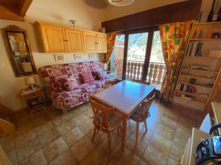 Charmant duplex avec balcon, proche ski et navettes, parking, WIFI - FR-1-693-109 - 9