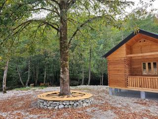 Cottages "InSxvava" Racha - 9