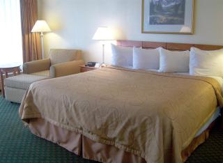 Best Western Thunderbird Motel - 2