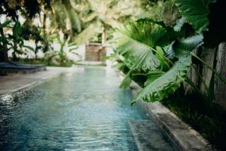 DreamTime - Hikkaduwa - 9