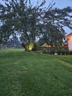 Cabañas Gardenias 2 - Zacatlán - 7