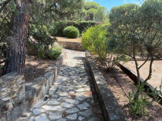 Villa Polau on the edge of the woods - Vidauban - 6