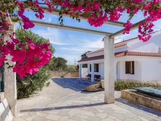 Casa Teresinha with private pool - Montinhos da Luz - 4