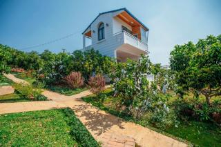 Điểm du lịch canh nông Avocado Farm - Lac Nghĩa - 5