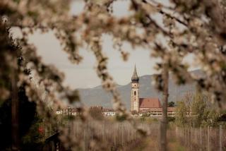 Gutshof Ebner - San Paolo - 5