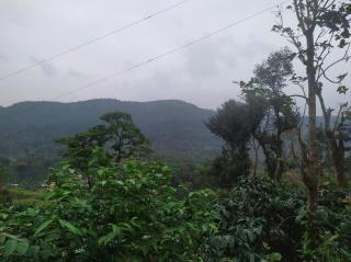 Coorg light - Madikeri - 8