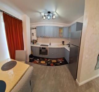 Apartament Gabriela - Baia Mare - 3