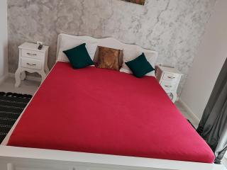 Apartament Gabriela - Baia Mare - 0