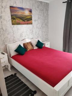 Apartament Gabriela - Baia Mare - 8