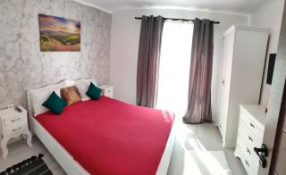 Apartament Gabriela - Baia Mare - 7