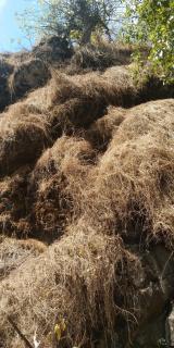 Sundara vana estate stay madikeri - 1