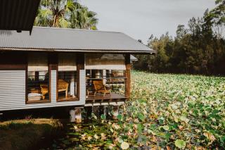 The Boathouses at Leaves & Fishes - Lovedale - 2