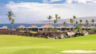 ELEGANT ESCAPE Elegant 4BR Laulea Home with Pool and Ocean View - Waikoloa - 2