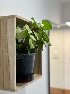 Le Duplex - Massy Centre - Massy - 1