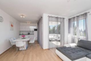 Villa Star 3. centrally located ap. with a pool - Novalja - 1
