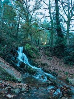Gîte coeur de Brocéliande - Néant-sur-Yvel - 2