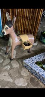 Guest House Iura - 1