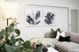 Woollahra Contemporary - Sydney - 6