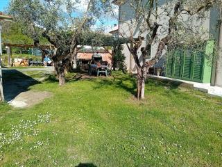 Cà degli Aredi - citra (011011-LT-0106) - Castelnuovo Magra - 7