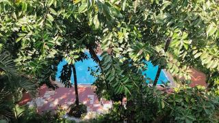1BHK Apartment - Arpora - 5