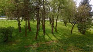 Apartament Bel Posto - Sanok - 1