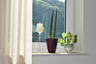 Ferienwohnung Reis - 1