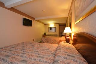 Newcastle Motel - Newcastle - 1