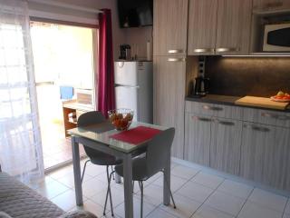 APPT 3 PIECES 28m2 + LOGGIA 8m2 REF 4046 - Le Castellas - 8