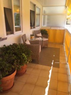 Hortensias de jardín - 6