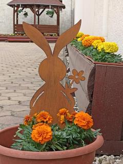 Euro Panzio - Debrecen - 7