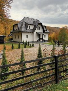 Flow House - Satu Mare - 7
