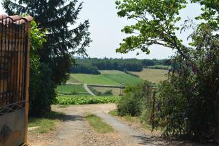 Domaine des Aloets - Moiré - 7