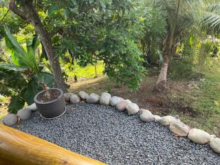 Le Kokon chic - Sainte-Anne - 5