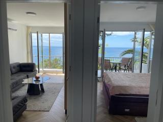 Pine forest apartment - 4