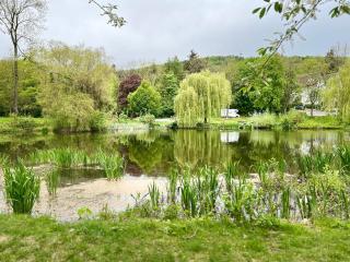 Ferienwohnung am Steinberg - 1