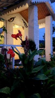 DM Farms Morni Hills Panchkula - 0