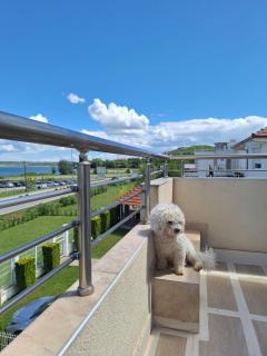 B&B apartments - 1