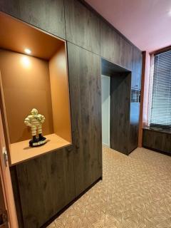 Plateau central / beaux arts - Clermont-Ferrand - 1