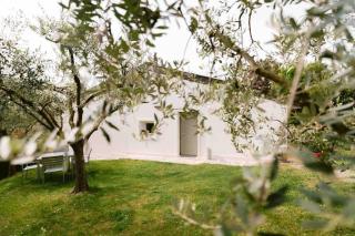 Atto Primo Valpolicella - - 8