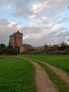 Chambres d'Hôtes Chateau Montegut - Montégut - 8