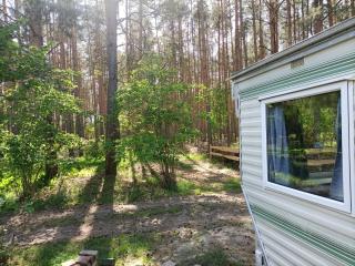 Tinyhaus idyllisch am Waldesrand - Cottbus - 7