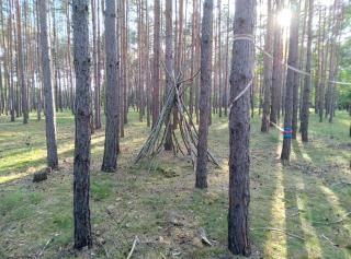 Tinyhaus idyllisch am Waldesrand - 5