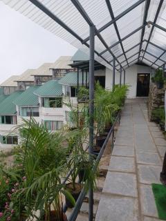 Kufri Heritage Resort & Spa - 1