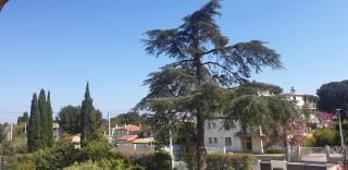 Les vagues bleues - 5