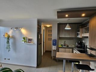 Departamento Acogedor en Avenida Matta, a Pasos del Metro - Santiago - 3